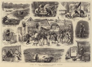 Life in the Victorian Gold Fields 